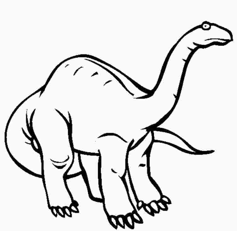 Apatosaurus Dinosaur had four massive and pillarlike legs Coloring Page