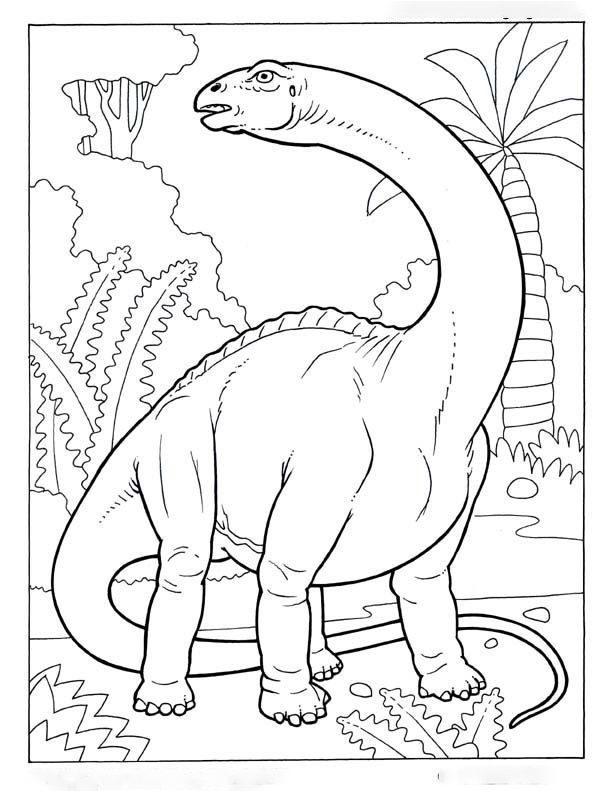 Apatosaurus Dinosaur Was A Massive Herbivore That Weighed As Much As Five Adult Elephants Coloring Pages