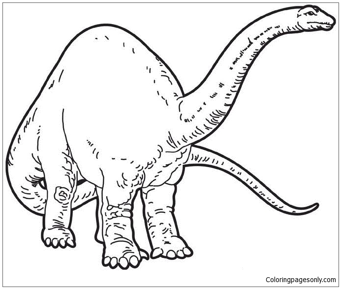 Apatosaurus von Apatosaurus