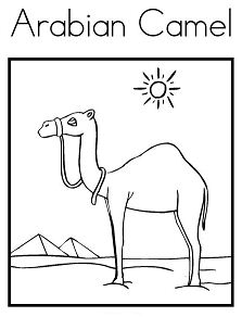 Arabian Camel Coloring Page