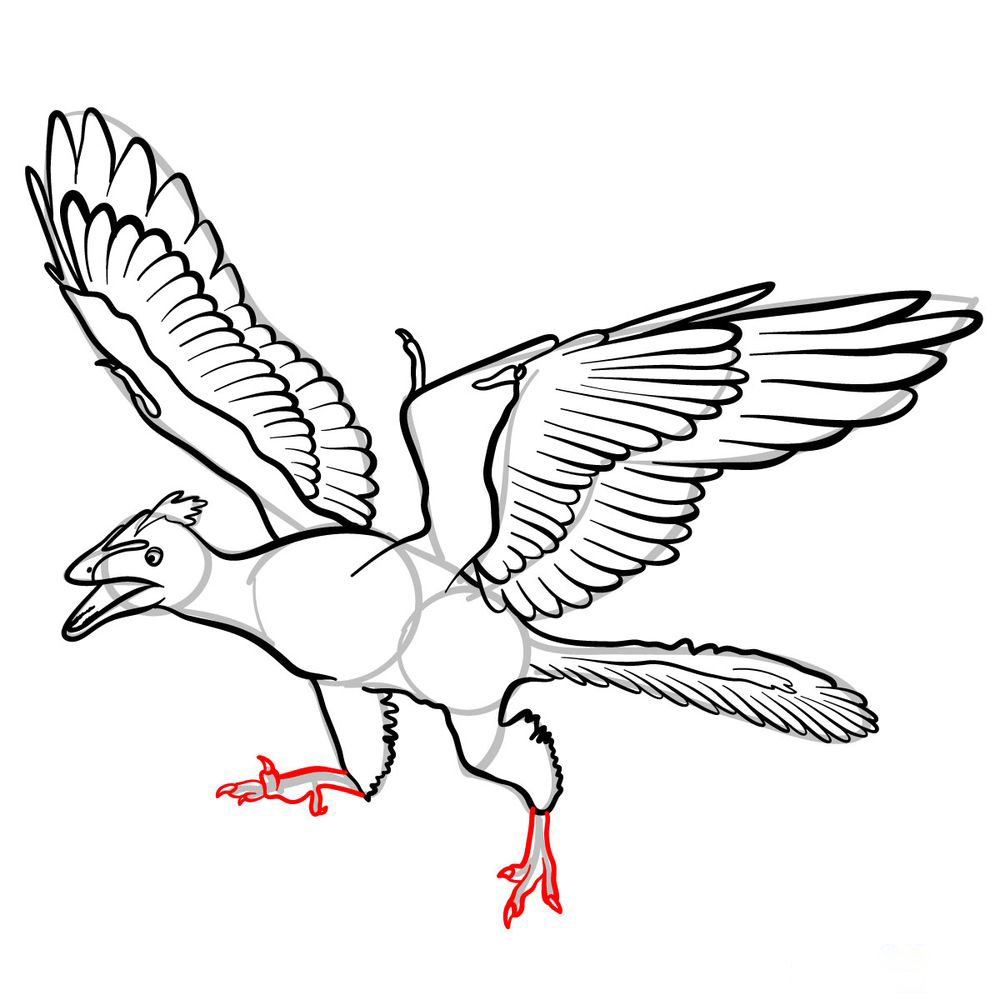 Archaeopteryx dessinant chaque partie d'Archeopteryx