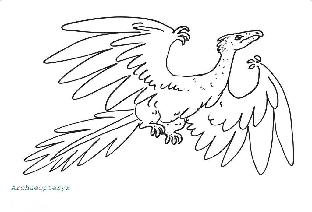 Archaeopteryx hatte eine Reihe Federn auf jedem Flügel von Archaeopteryx