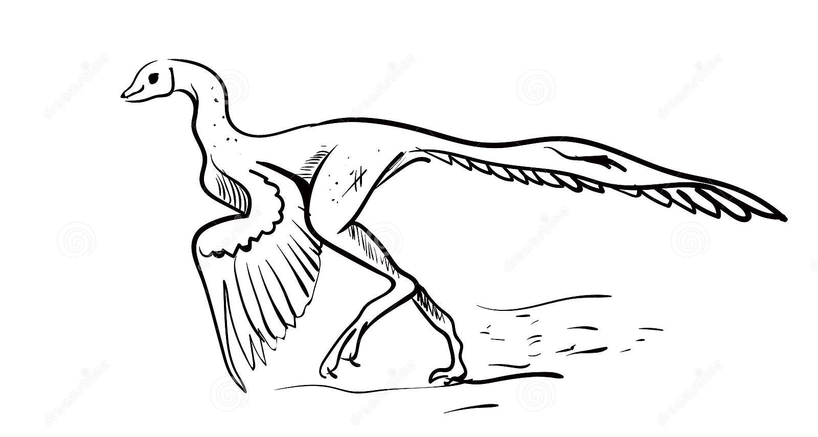 Archaeopteryx illustrator vector witte achtergrond van Archaeopteryx