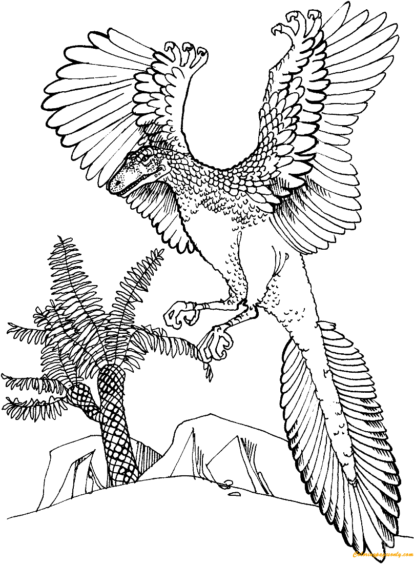Página para colorir de pássaro jurássico Archaeopteryx