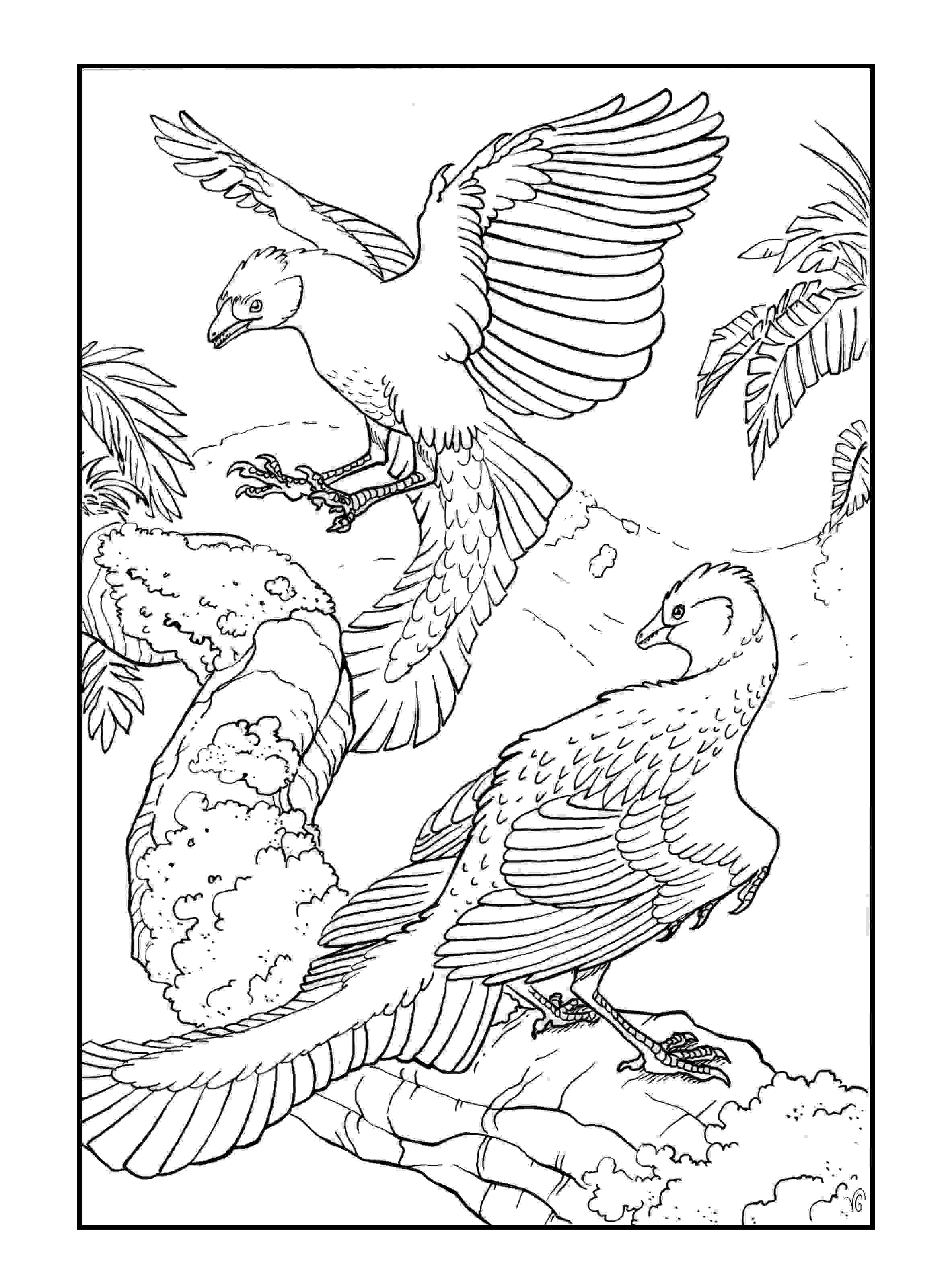 Página para colorir Archaeopteryx litographica