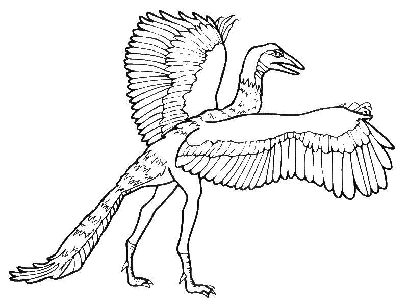 Archaeopteryx which had three fingers on each side bore claws and moved independently Coloring Pages