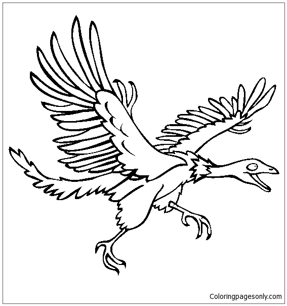 Desenho para colorir de dinossauro Archaeopteryx 4