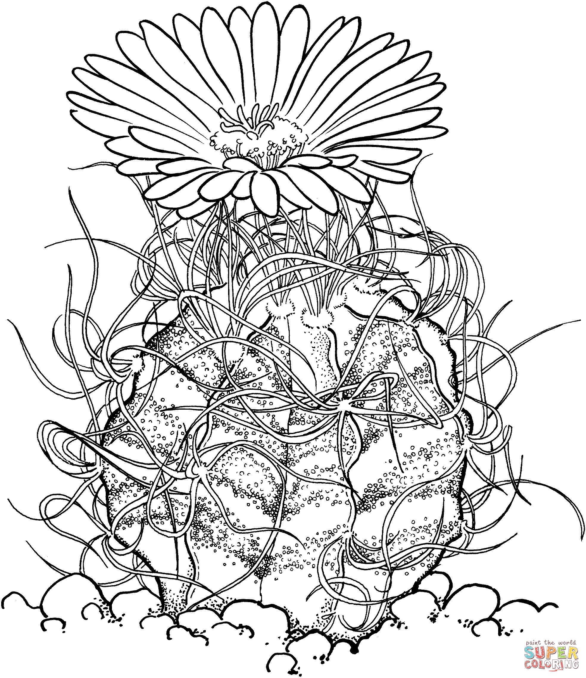 Astrophytum Capricorne or Goat’s Horn Cactus Coloring Page
