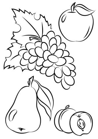 Autumn Fruits Coloring Pages