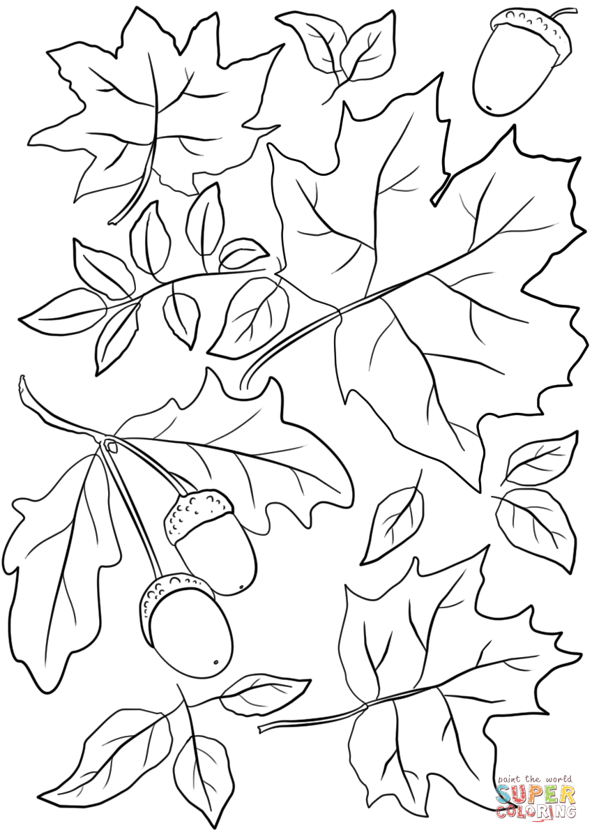 Herbstblätter und Eicheln vom Herbst