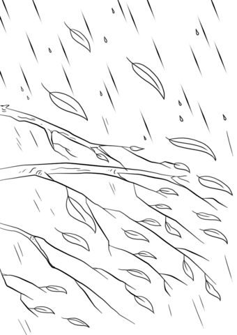 Autumn Leaves Branches Coloring Pages