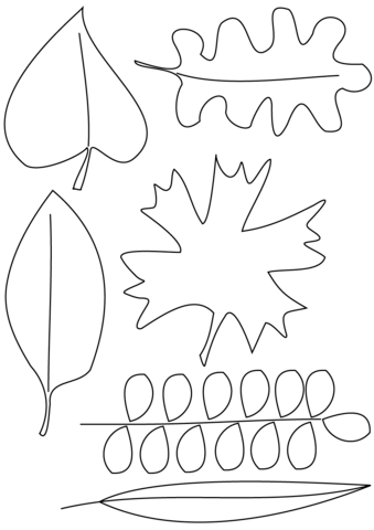 Autumn Leaves Coloring Pages