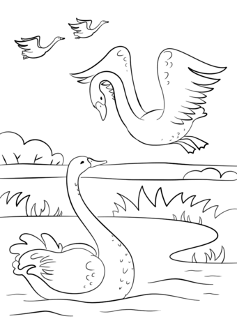 Autumn Scene with Swans Coloring Pages