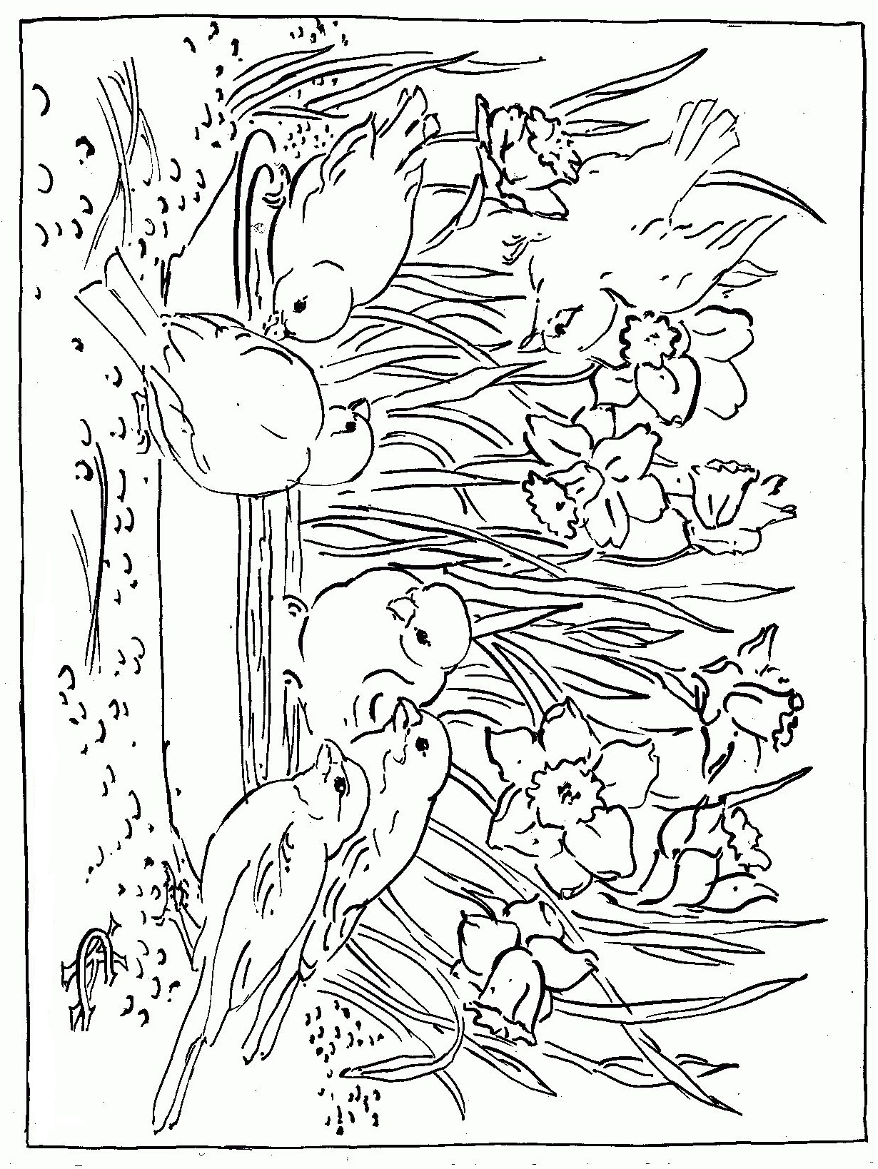 Spring Coloring Pages - ColoringPagesOnly.com