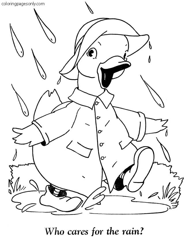 Baby Duck goes to school in the rain from Ducks