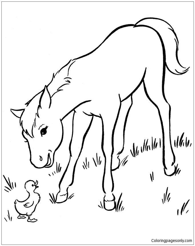 Baby Horse 2 Coloring Pages