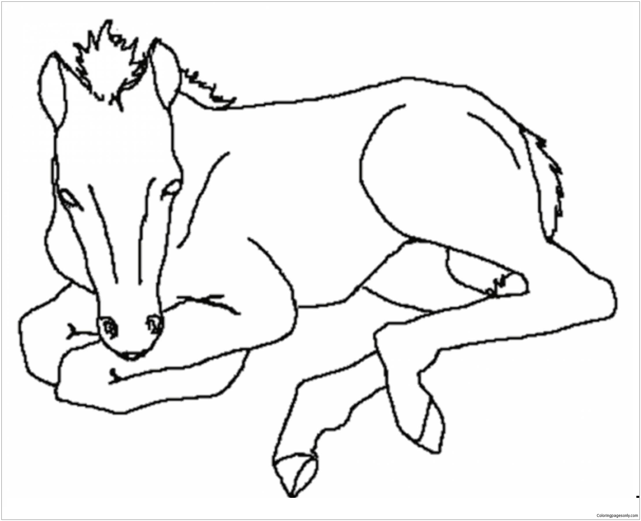 Baby Horses Cute Coloring Pages - Horse Coloring Pages - Free Printable