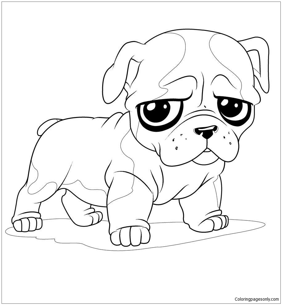 Baby Puppy Bulldog Coloring Page