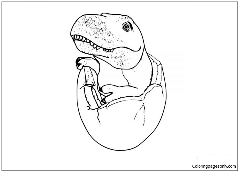 Baby T. Rex Coloring Pages - Dinosaurs Coloring Pages - Free Printable