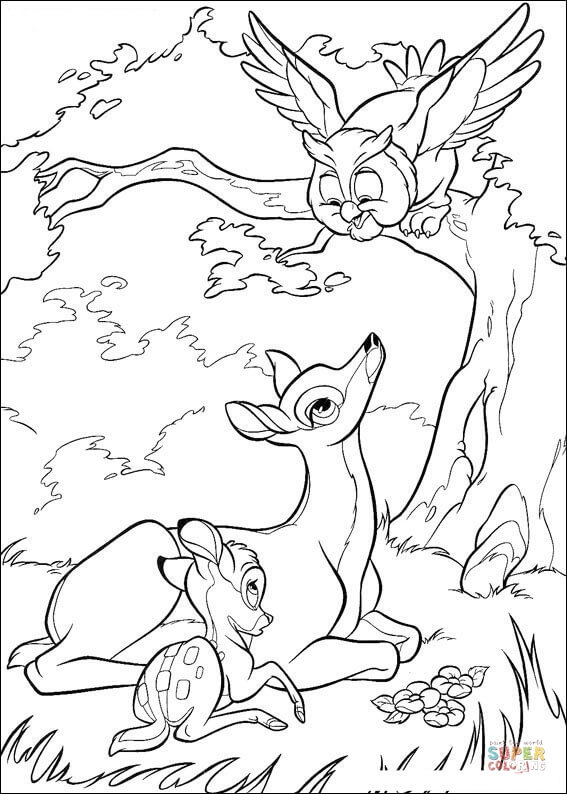 Bambi His Mom And Owl From Bambi Coloring Pages Bambi Coloring Pages Coloring Pages For Kids And Adults