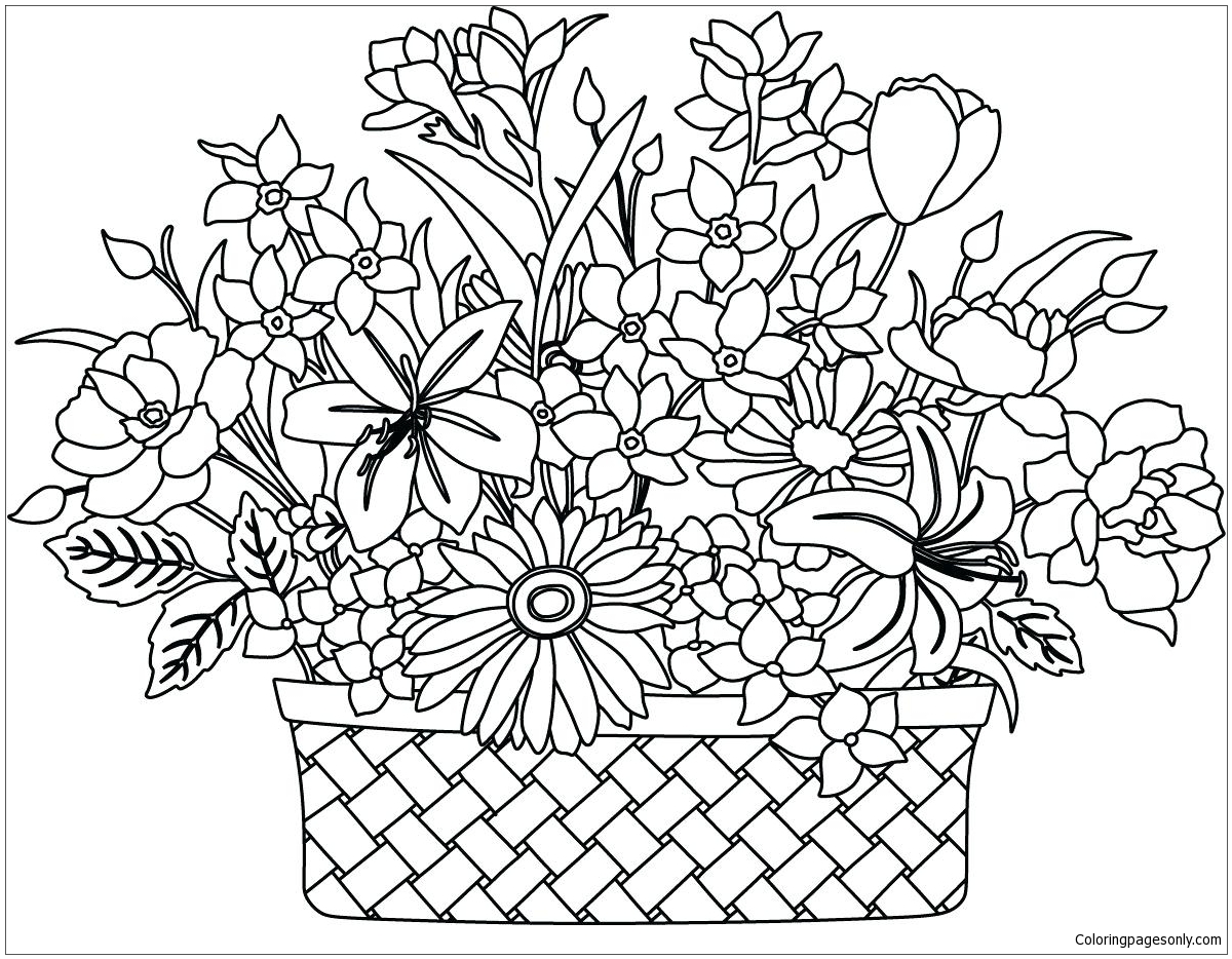 Basket Flowers from Laurel