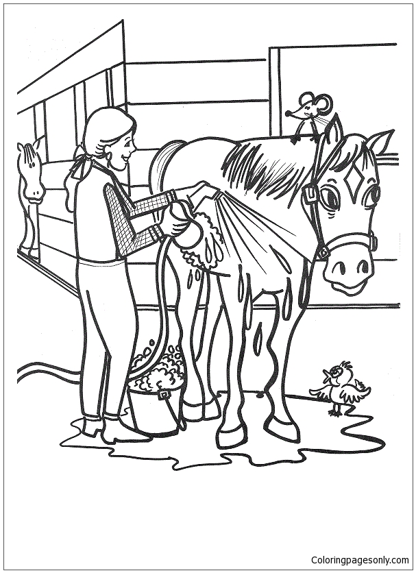 Coloring page - Banhando o cavalo