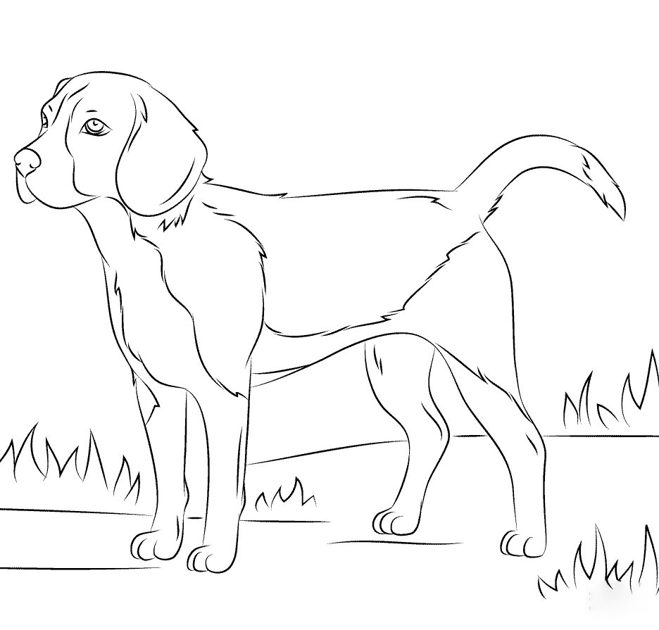 Beagles Coloring Page