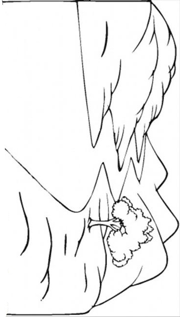Beautiful Nature In Spring Coloring Pages