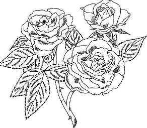 Beautiful Rose Coloring Page