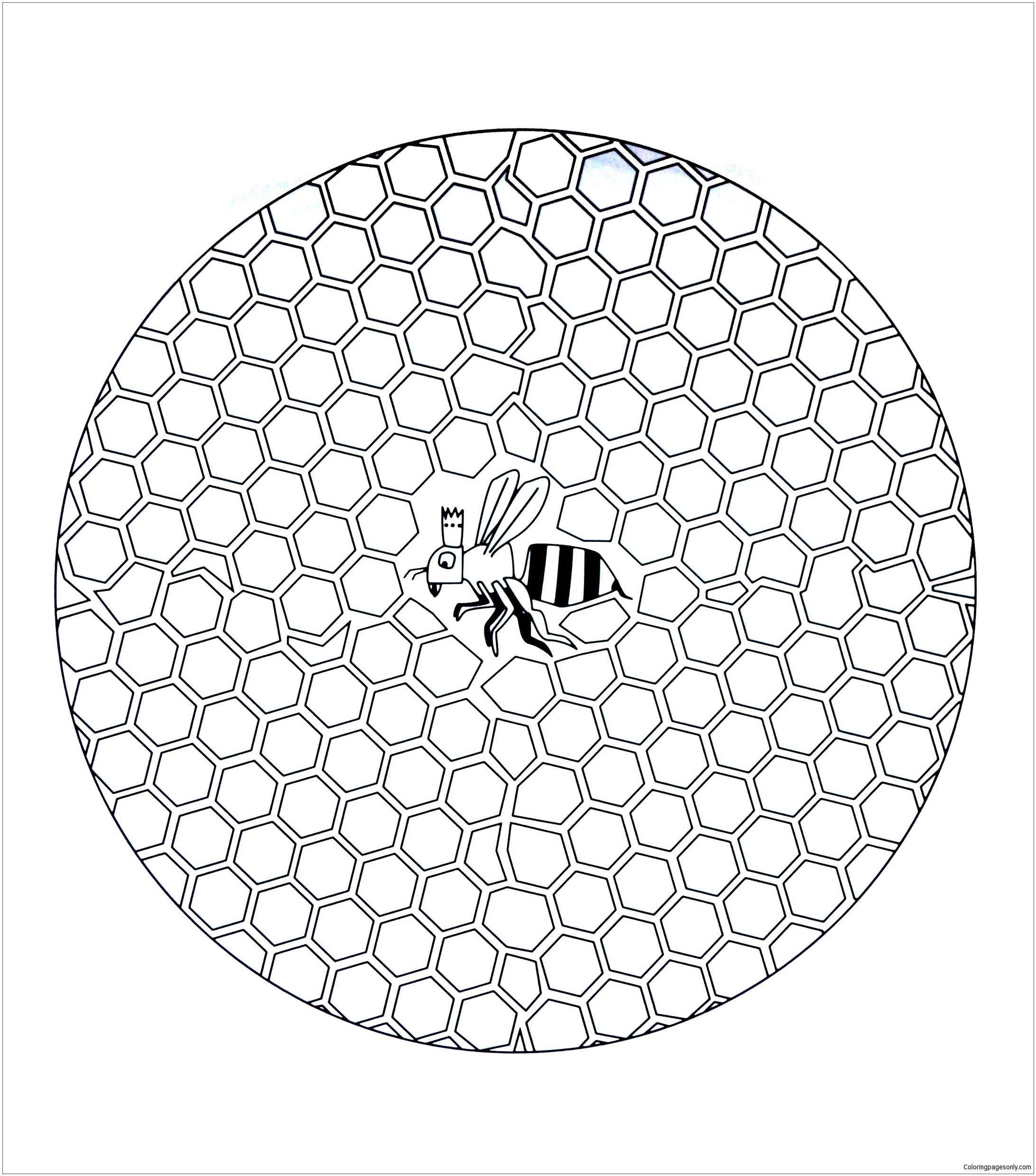 Abeja en colmena de Mandala