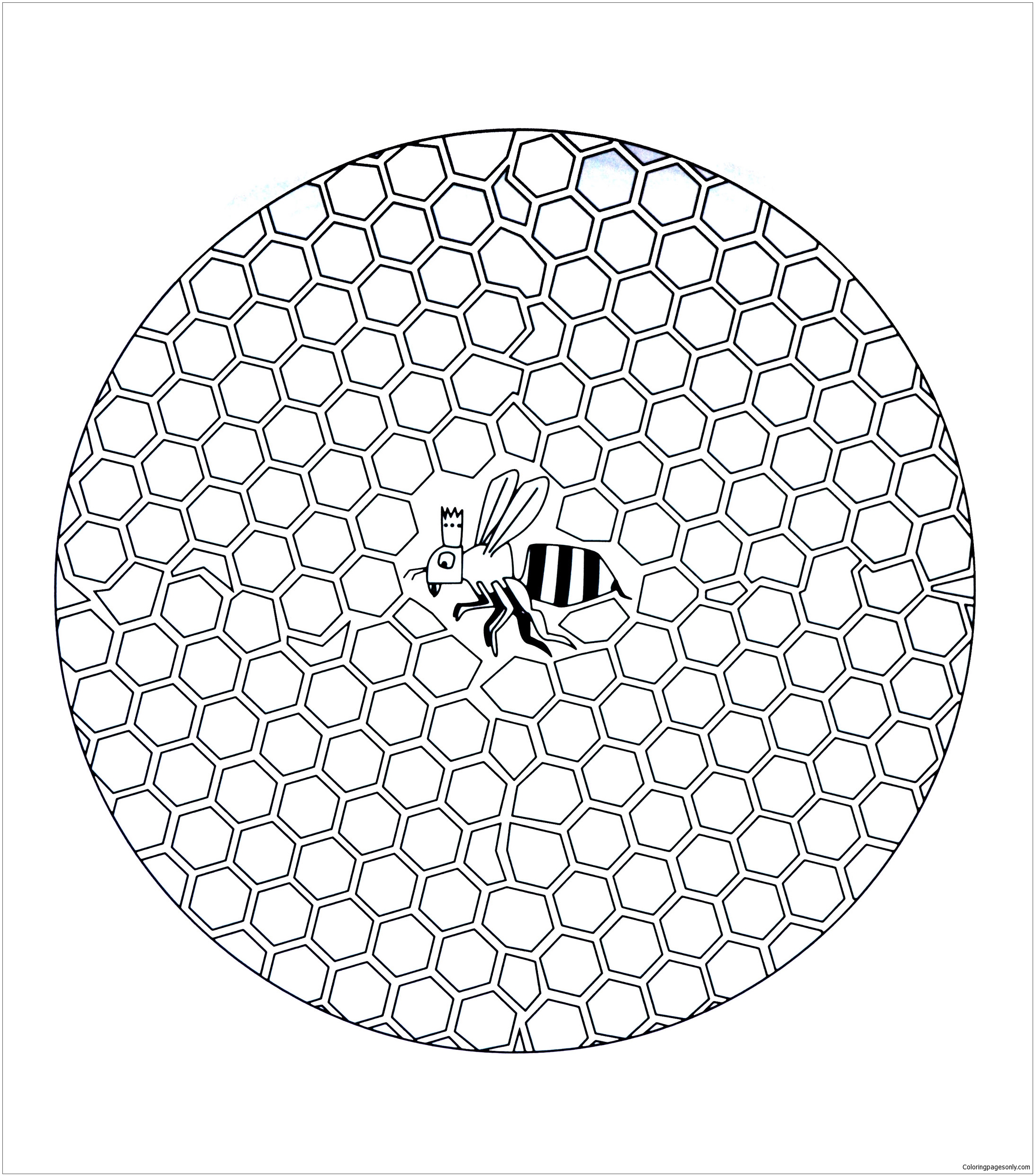 Bee In Hive Coloring Page Free Printable Coloring Pages