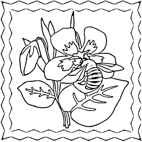 Bee on the Violets Coloring Page