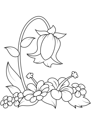 Bellflower Coloring Pages