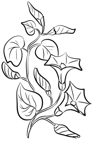 Bellflowers Coloring Page