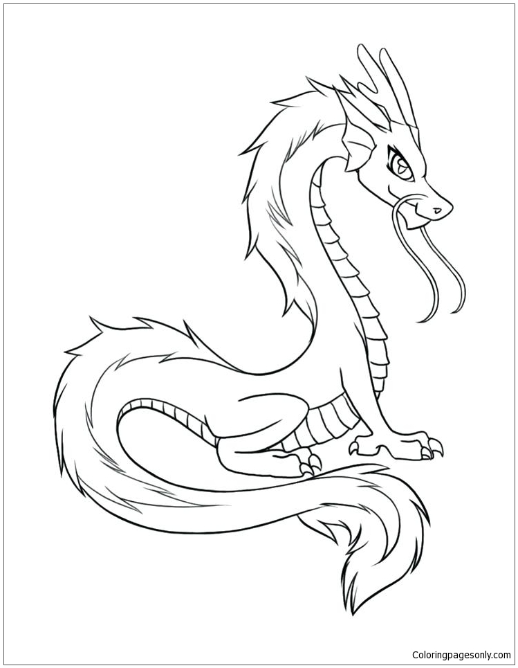 Best Dragon Coloring Sheet Coloring Page