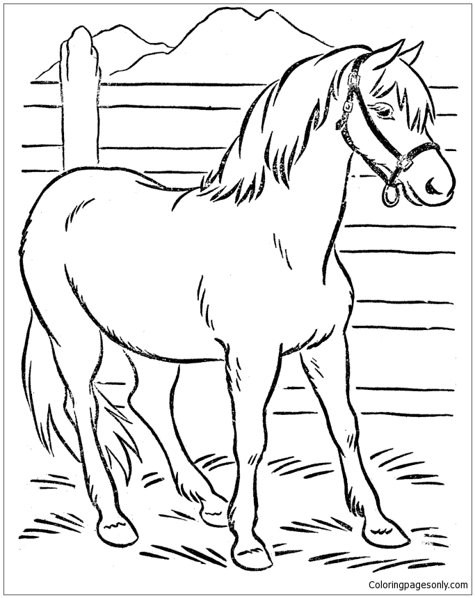 Best Horse Coloring Pages - Coloring Pages - Páginas para colorear para  niños y adultos