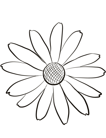Black Eyed Susan Coloring Pages