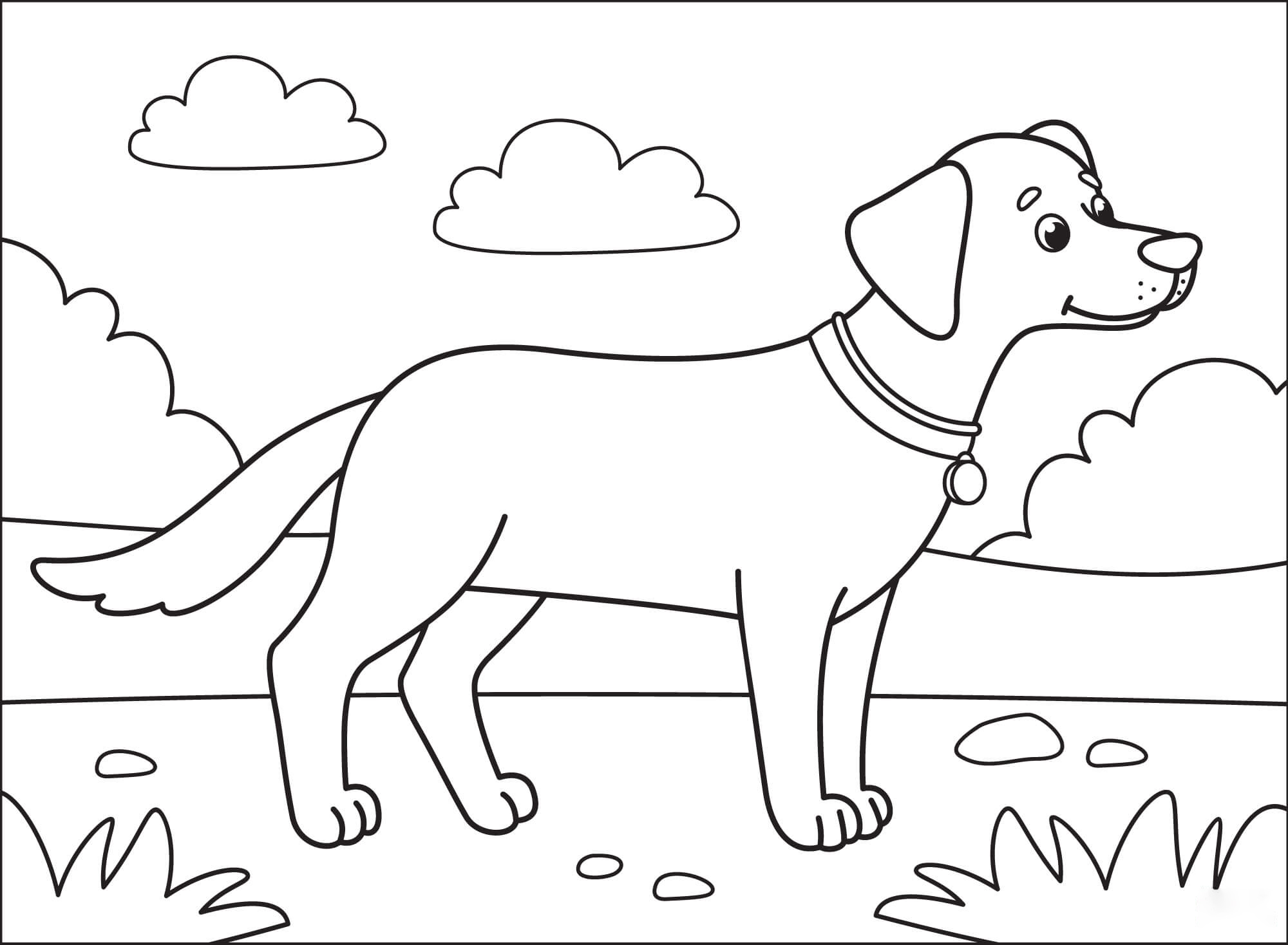 Blacklab Coloring Pages