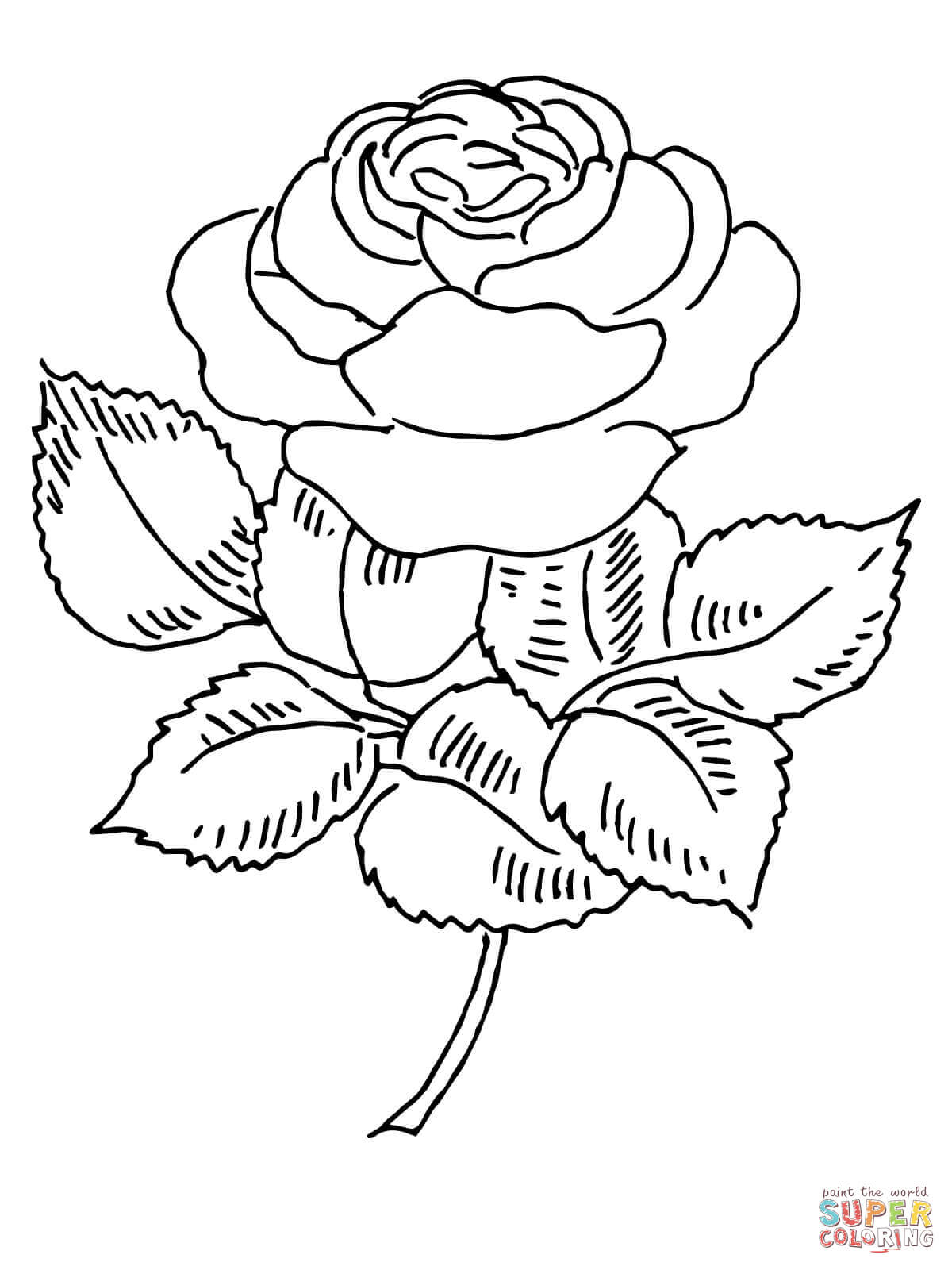 Blooming Rose Coloring Pages