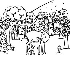 Boowa e Kwala e-mail Página para colorir de animais da floresta