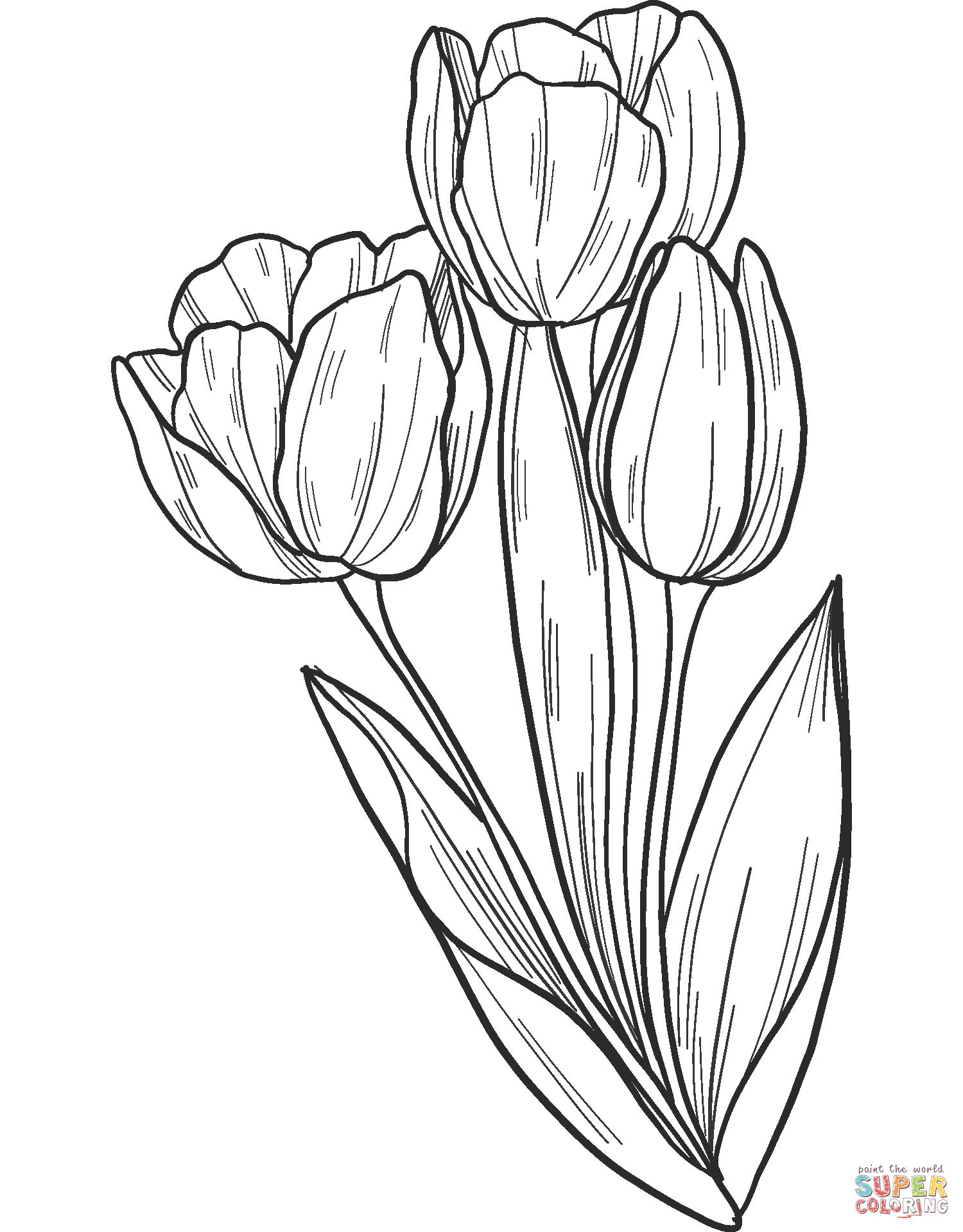 Bouquet Of Tulips Coloring Pages
