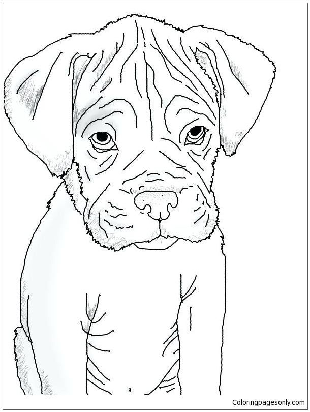 Boxer Dog Coloring Pages