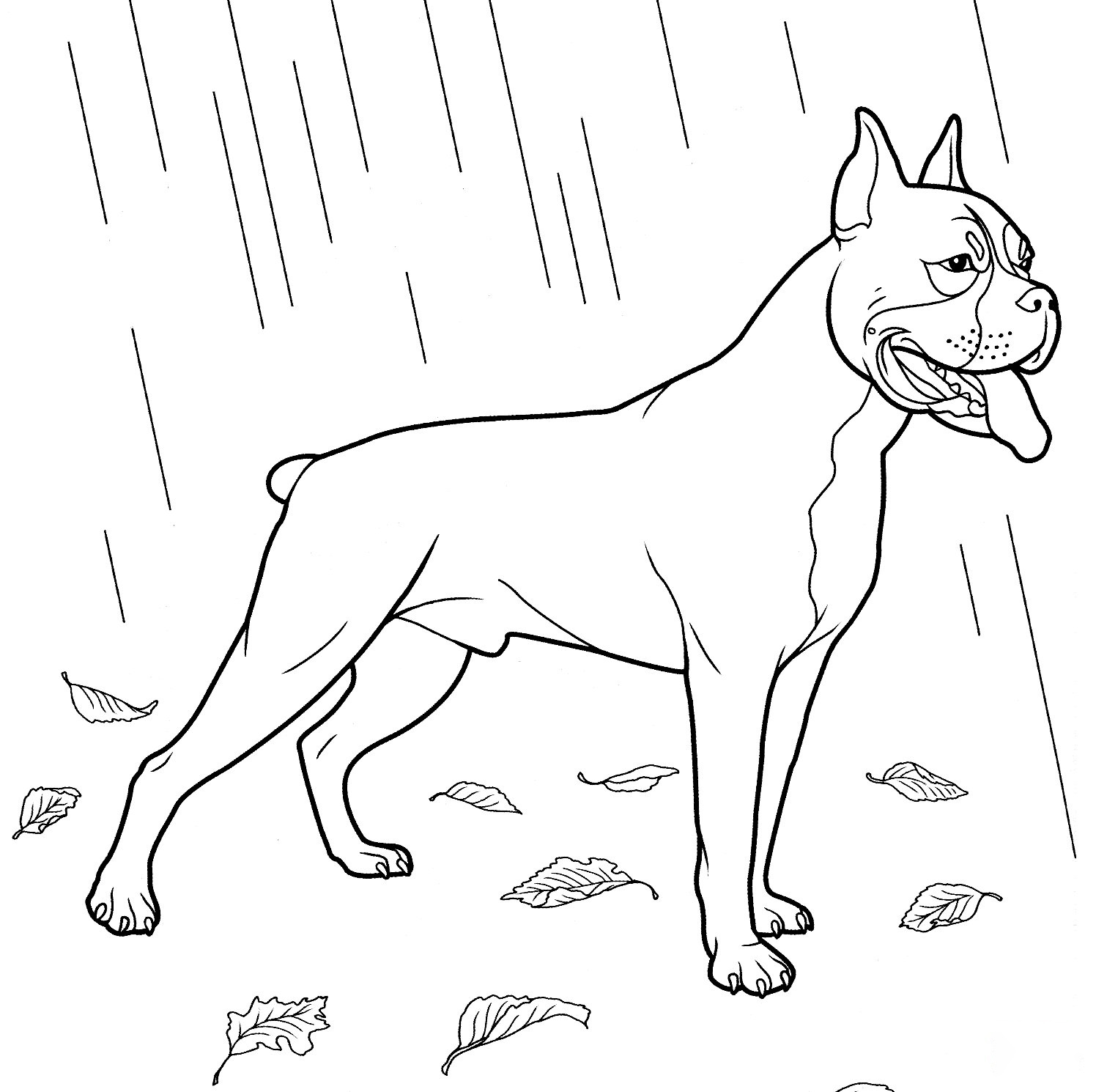 Boxer Coloring Page