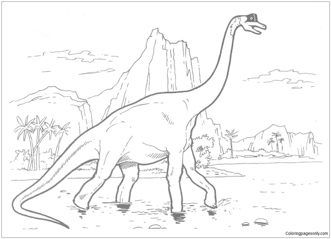 Disegni Da Colorare Brachiosauro Dinosauro Disegni Da Colorare