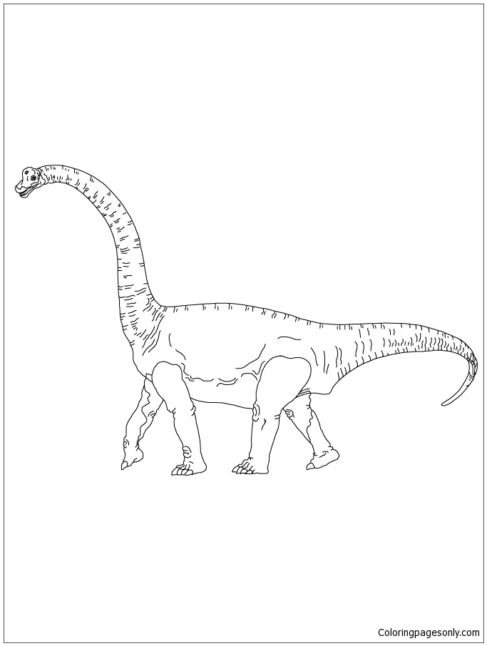 Brachiosaurus 1 Dinosaur Coloring Page