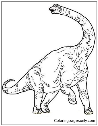 Brachiosaure 5 de Brachiosaure