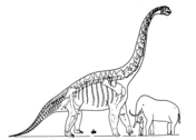 Pagina da colorare di brachiosauro ed elefante