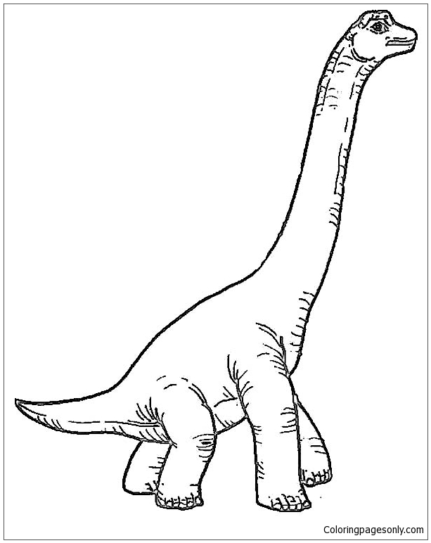 Раскраска Брахиозавр.
