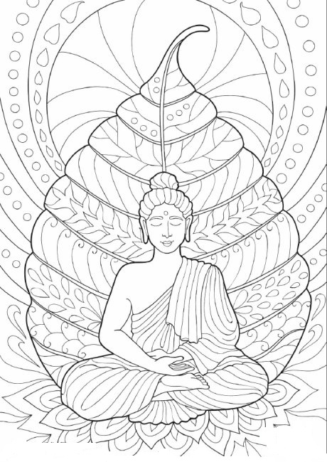 Buda sentado na folha para colorir