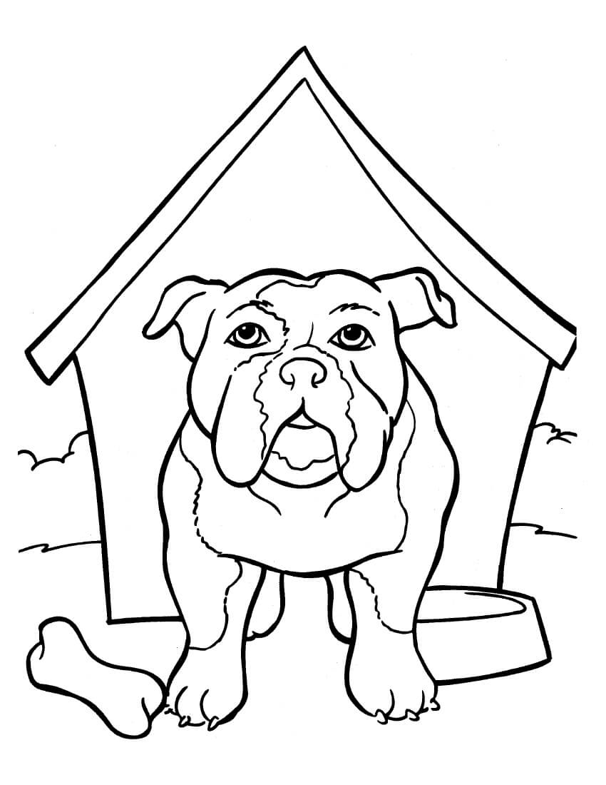 Bulldog is in the kennel Coloring Page